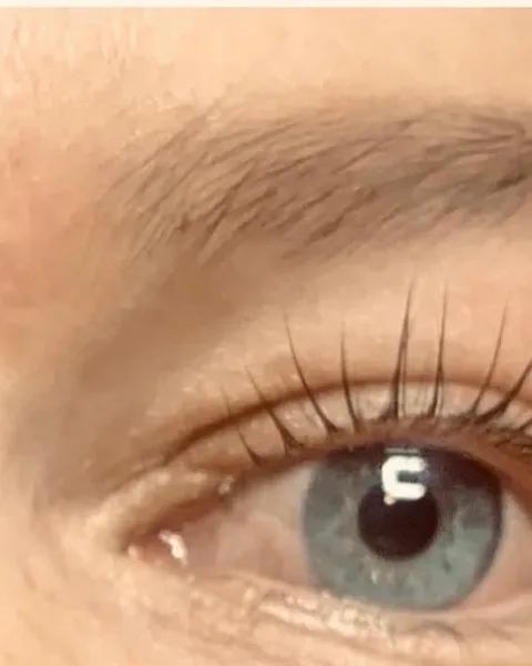Auge mit gelifteten Wimpern und definierter Augenbraue nach der Behandlung
